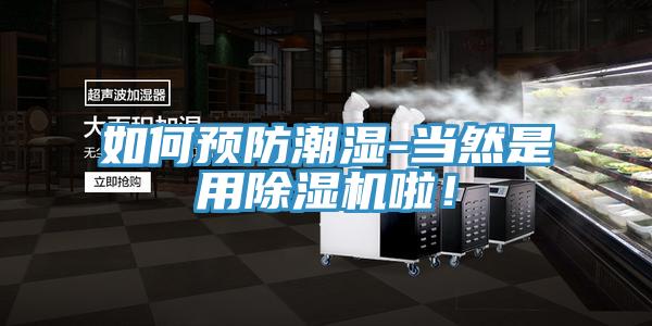 如何预防潮湿-当然是用猫咪成人官网啦！