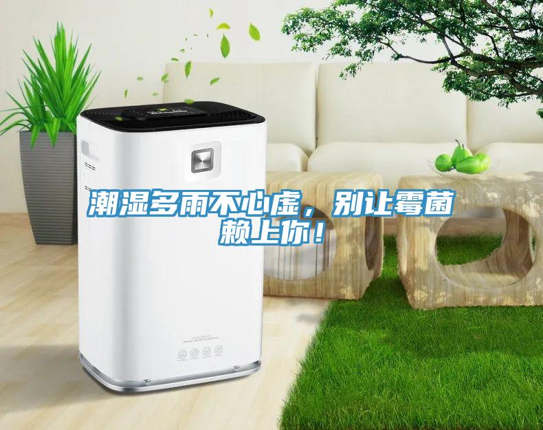 潮湿多雨不心虚，别让霉菌赖上你！