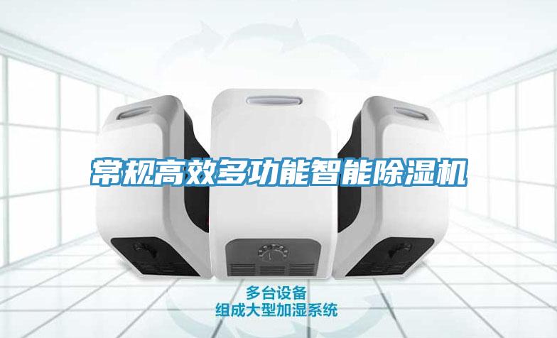 常规高效多功能智能猫咪成人官网