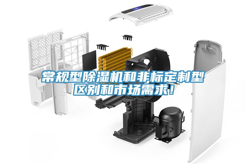 常规型猫咪成人官网和非标定制型区别和市场需求！