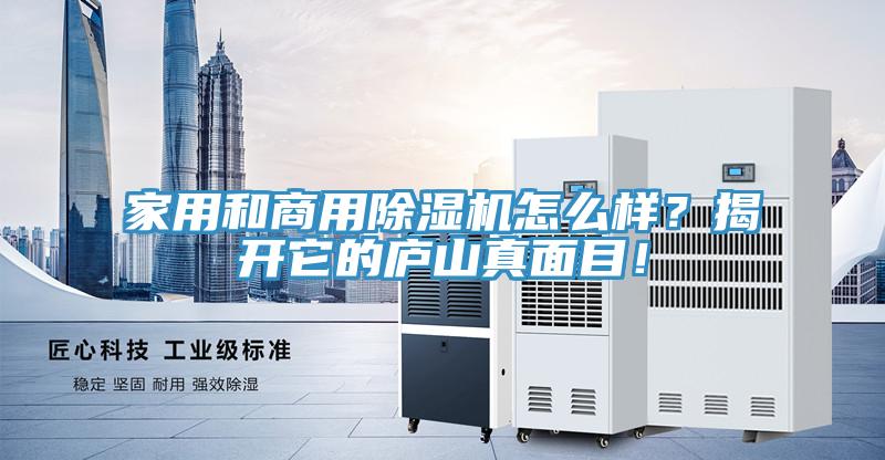 家用和商用猫咪成人官网怎么样？揭开它的庐山真面目！