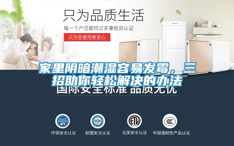 家里阴暗潮湿容易发霉，三招助你轻松解决的办法