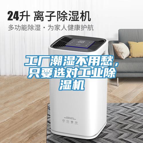 工厂潮湿不用愁，只要选对工业猫咪成人官网