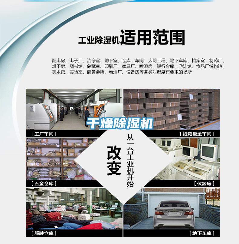 干燥猫咪成人官网
