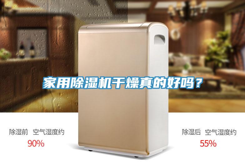 家用猫咪成人官网干燥真的好吗？