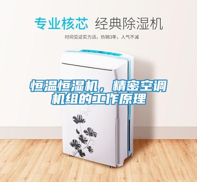 恒温恒湿机，精密空调机组的工作原理