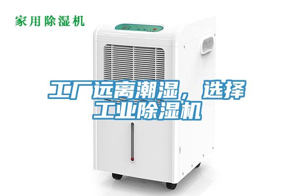 工厂远离潮湿，选择工业猫咪成人官网