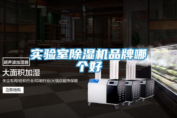 实验室猫咪成人官网品牌哪个好