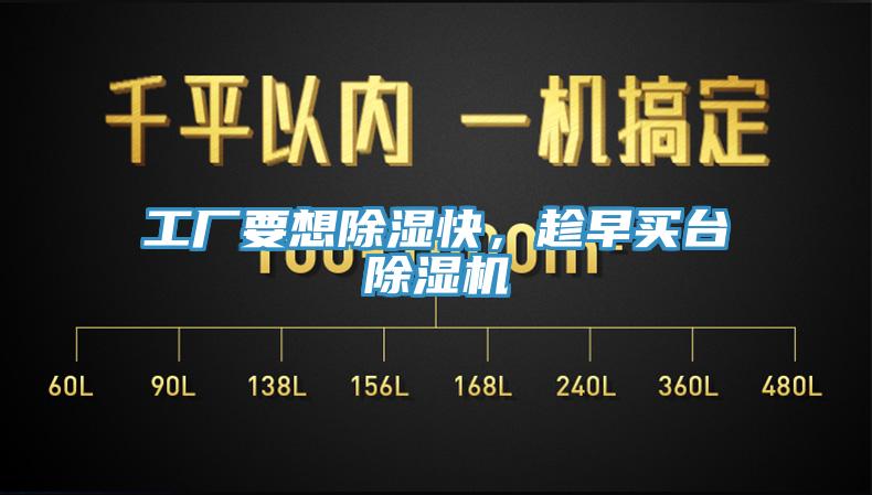 工厂要想除湿快，趁早买台猫咪成人官网