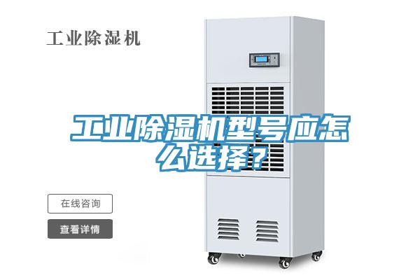 工业猫咪成人官网型号应怎么选择？