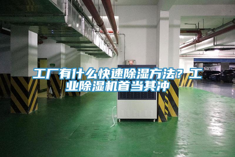 工厂有什么快速除湿方法？工业猫咪成人官网首当其冲