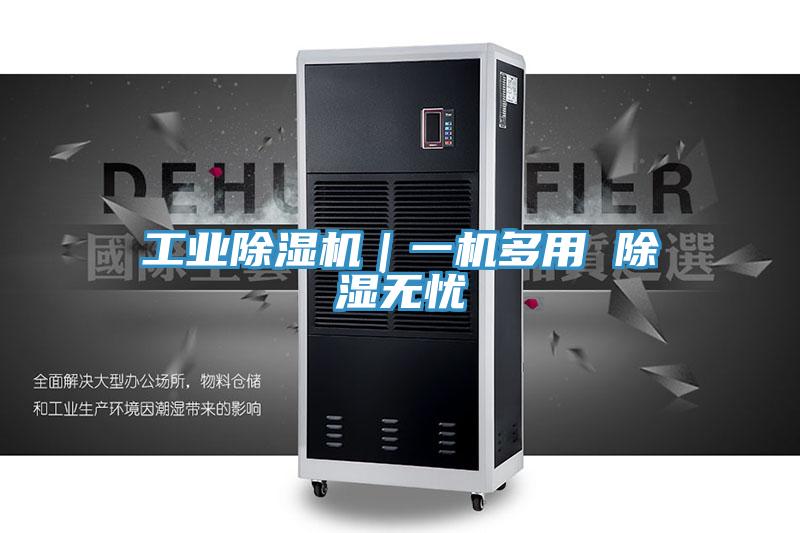 工业猫咪成人官网｜一机多用 除湿无忧