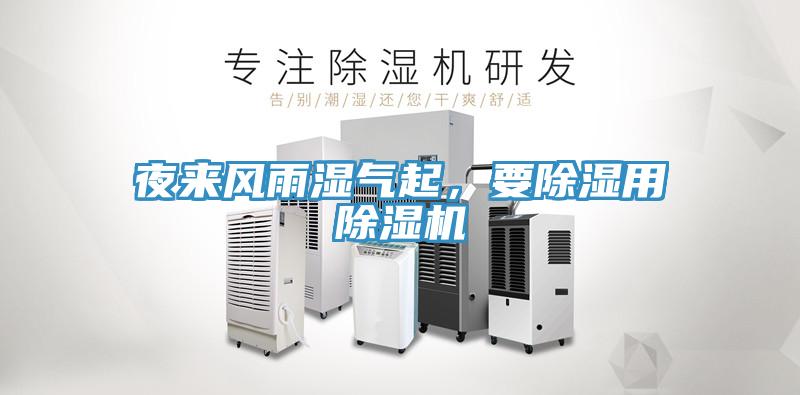 夜来风雨湿气起，要除湿用猫咪成人官网
