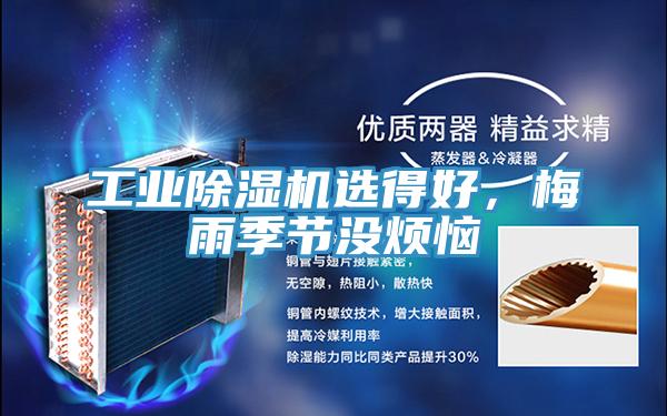 工业猫咪成人官网选得好，梅雨季节没烦恼