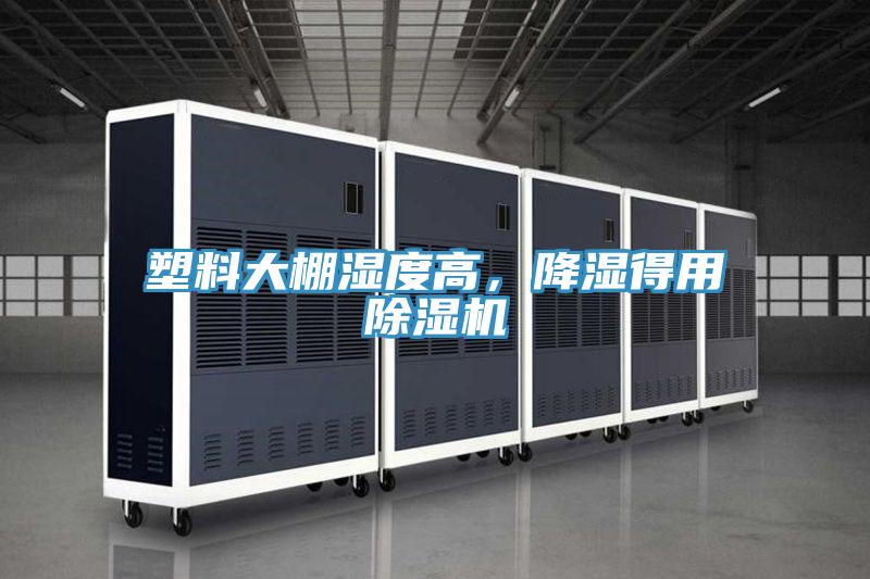 塑料大棚湿度高，降湿得用猫咪成人官网