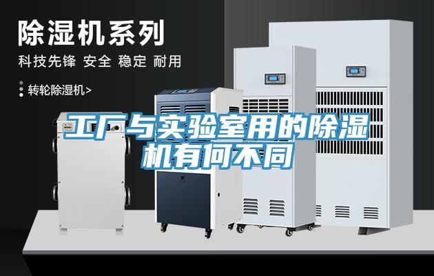 工厂与实验室用的猫咪成人官网有何不同