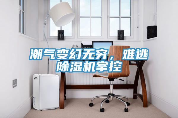潮气变幻无穷，难逃猫咪成人官网掌控