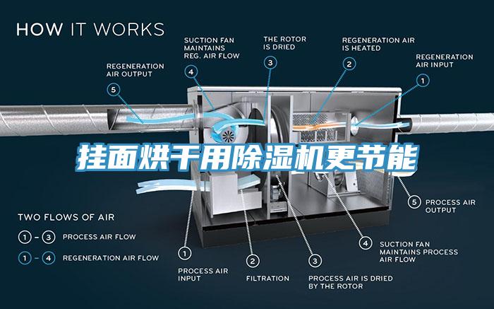 挂面烘干用猫咪成人官网更节能