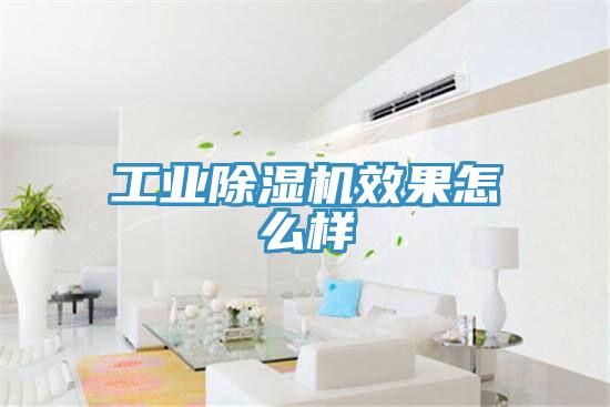 工业猫咪成人官网效果怎么样