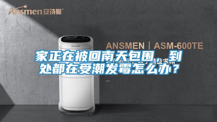 家正在被回南天包围，到处都在受潮发霉怎么办？