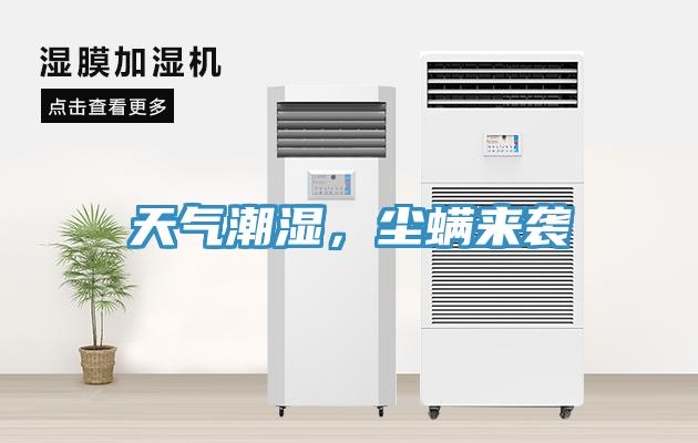 天气潮湿，尘螨来袭