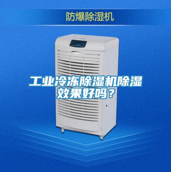 工业冷冻猫咪成人官网除湿效果好吗？