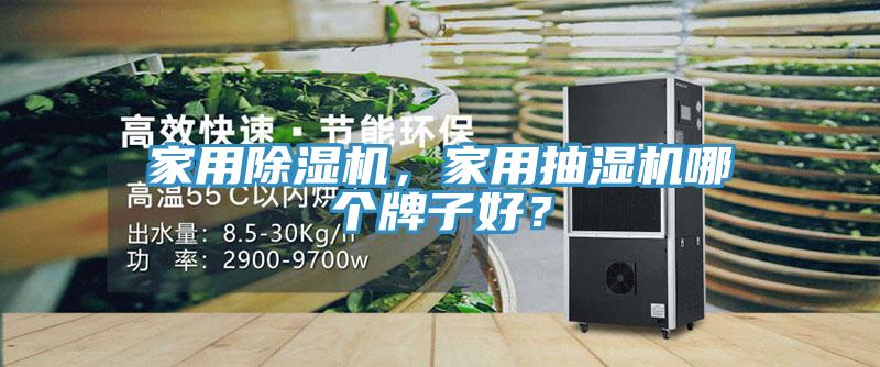 家用猫咪成人官网，家用抽湿机哪个牌子好？