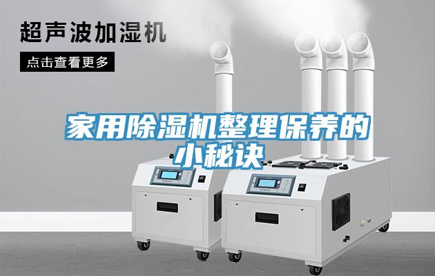 家用猫咪成人官网整理保养的小秘诀