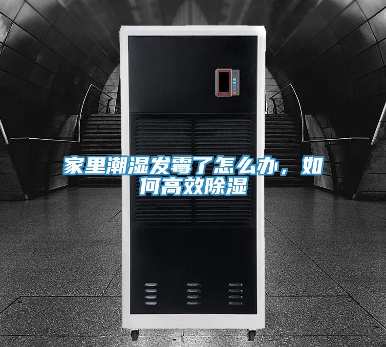 家里潮湿发霉了怎么办，如何高效除湿