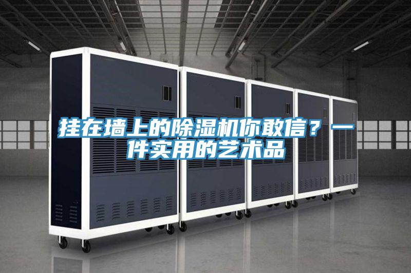 挂在墙上的猫咪成人官网你敢信？一件实用的艺术品