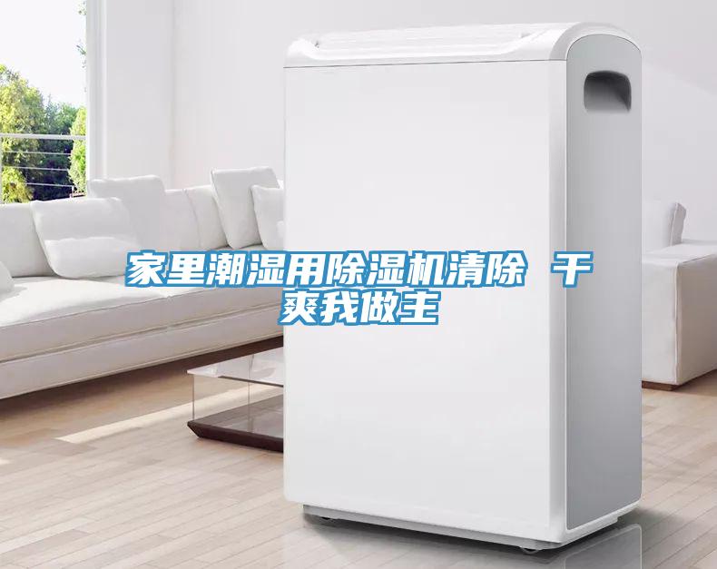 家里潮湿用猫咪成人官网清除 干爽我做主