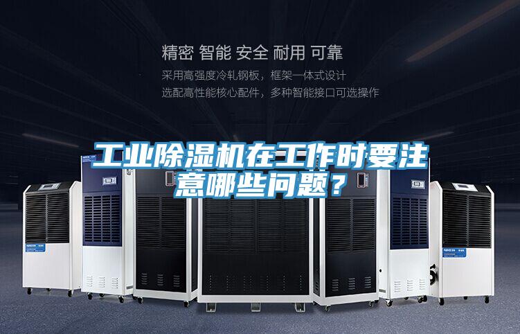 工业猫咪成人官网在工作时要注意哪些问题？