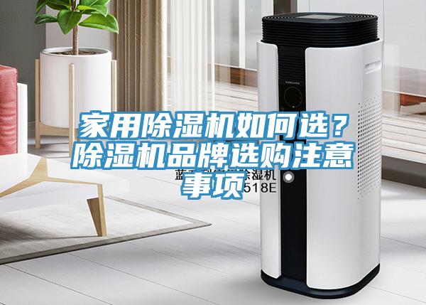 家用猫咪成人官网如何选？猫咪成人官网品牌选购注意事项