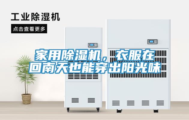 家用猫咪成人官网，衣服在回南天也能穿出阳光味