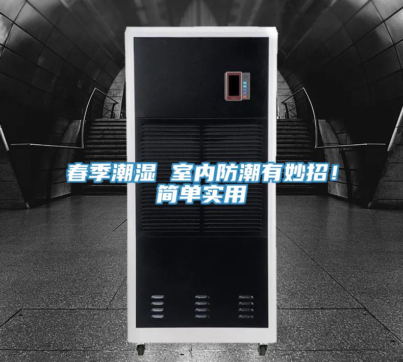 春季潮湿 室内防潮有妙招！简单实用