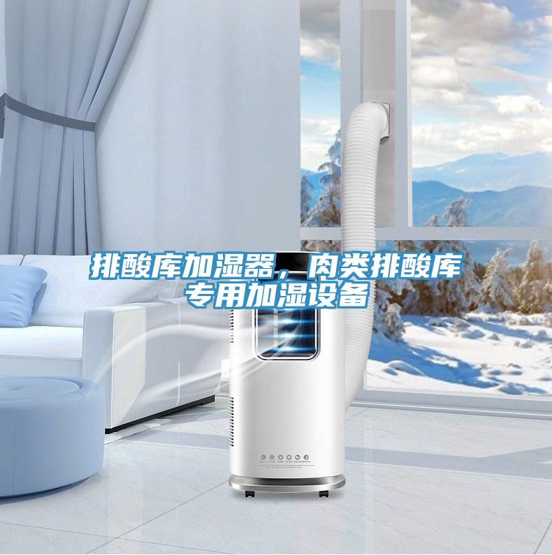 排酸库加湿器，肉类排酸库专用加湿设备