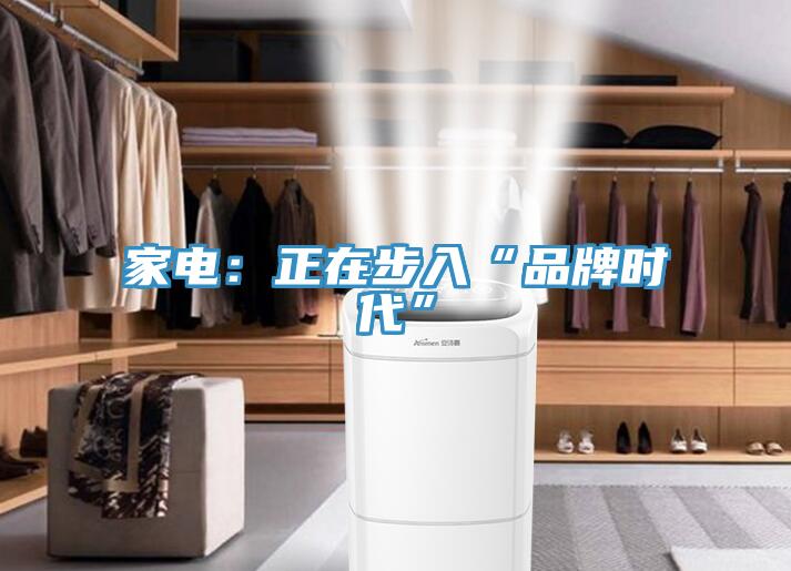 家电：正在步入“品牌时代”