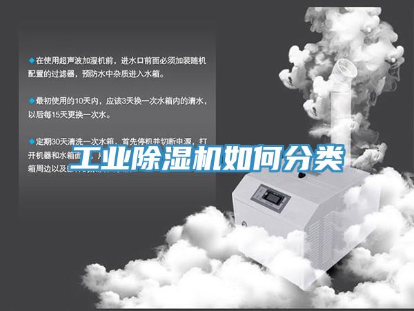 工业猫咪成人官网如何分类