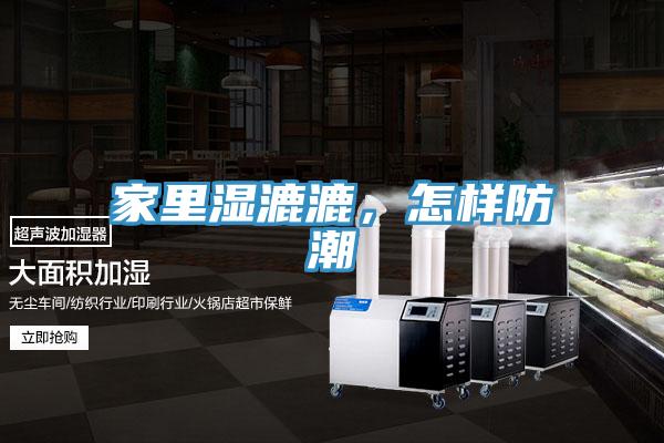 家里湿漉漉，怎样防潮