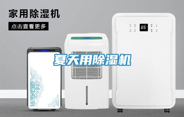 夏天用猫咪成人官网
