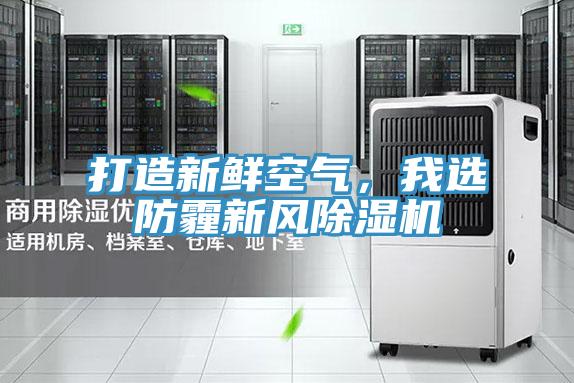 打造新鲜空气，我选防霾新风猫咪成人官网