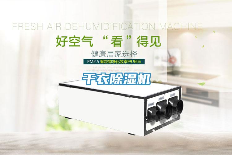 干衣猫咪成人官网