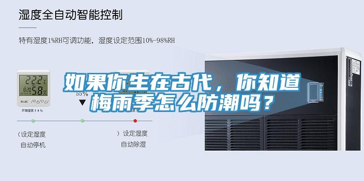 如果你生在古代，你知道梅雨季怎么防潮吗？