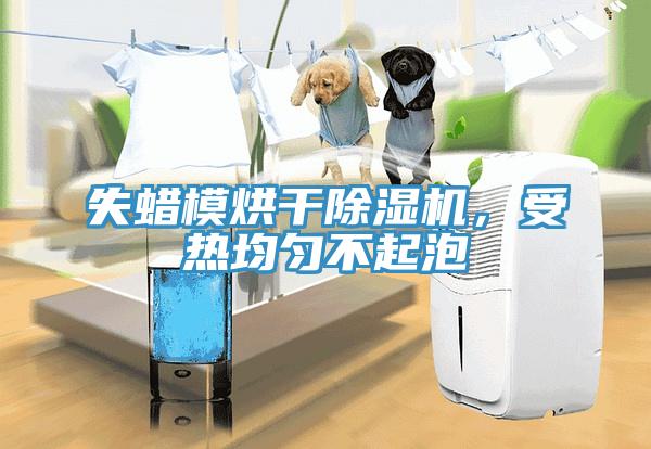 失蜡模烘干猫咪成人官网，受热均匀不起泡