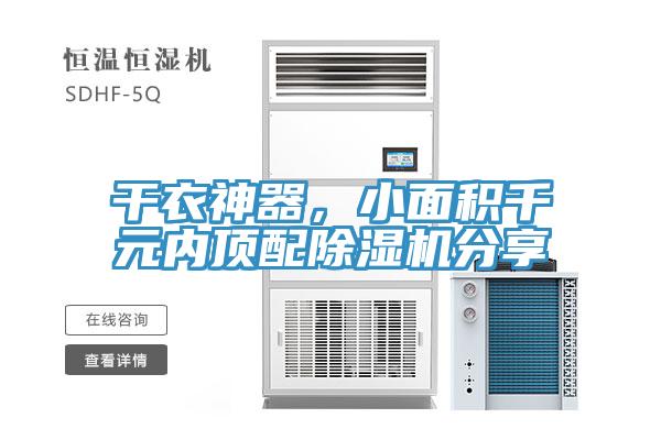 干衣神器，小面积千元内顶配猫咪成人官网分享