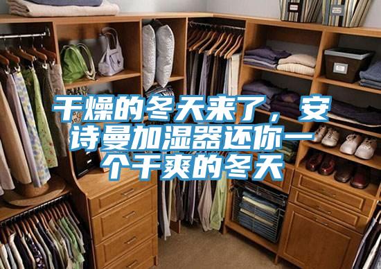 干燥的冬天来了，猫咪成人在线视频加湿器还你一个干爽的冬天