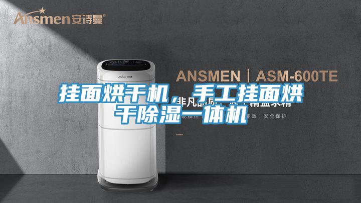 挂面烘干机，手工挂面烘干除湿一体机