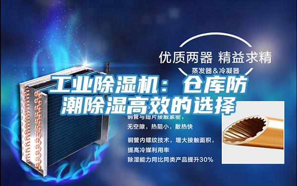 工业猫咪成人官网：仓库防潮除湿高效的选择