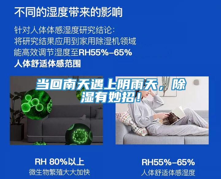 当回南天遇上阴雨天，除湿有妙招！