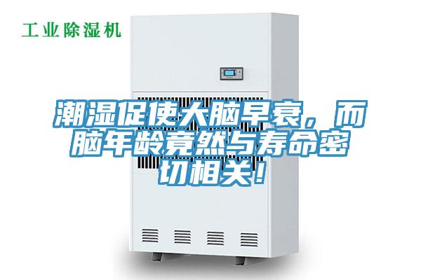 潮湿促使大脑早衰，而脑年龄竟然与寿命密切相关！